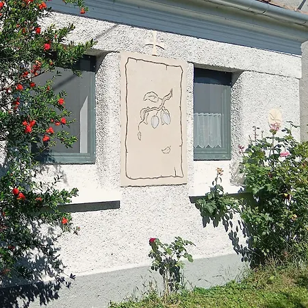 Tatil Evi Balatoni Zoeldkapus Vendeghaz