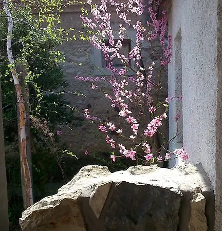 Casa vacanze Balatoni Zoeldkapus Vendeghaz *